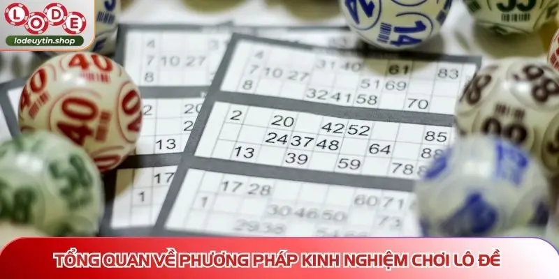 kinh nghiem choi lo de tong quan Tổng quan về phương pháp kinh nghiệm chơi lô đề
